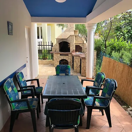 Shark House Apartment