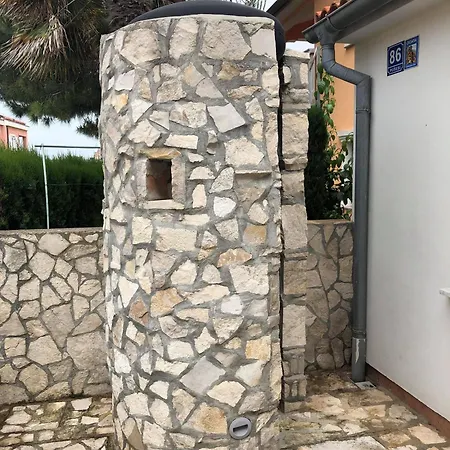 Shark House *